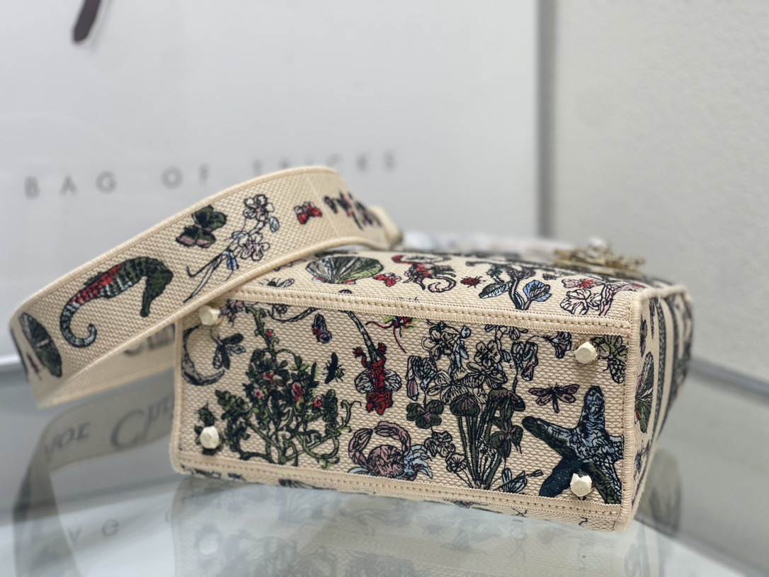 Dior Lady Women Shoulder Bags 24*20*11cm