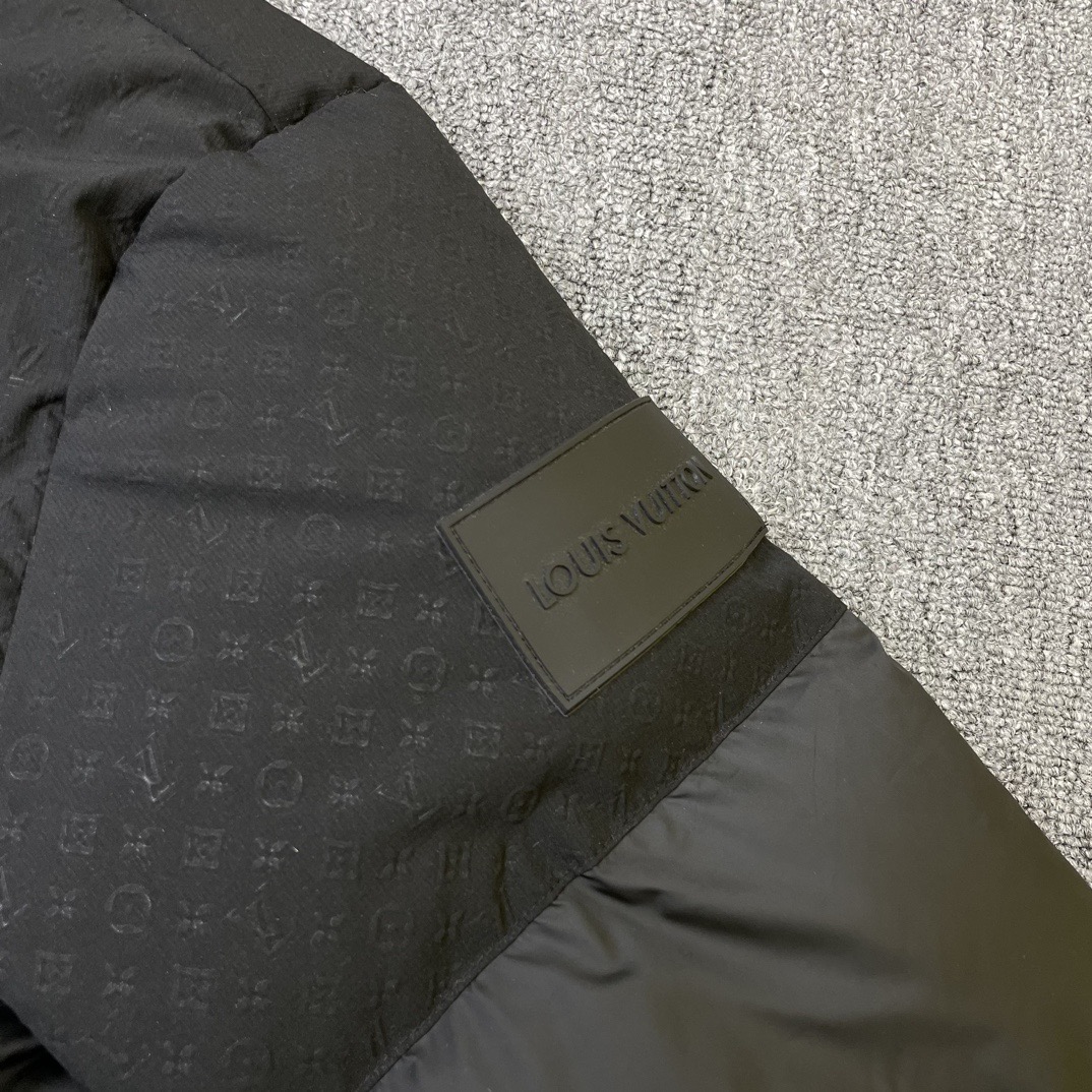 Louis Vuitton Unisex Down Jacket Size S-XL