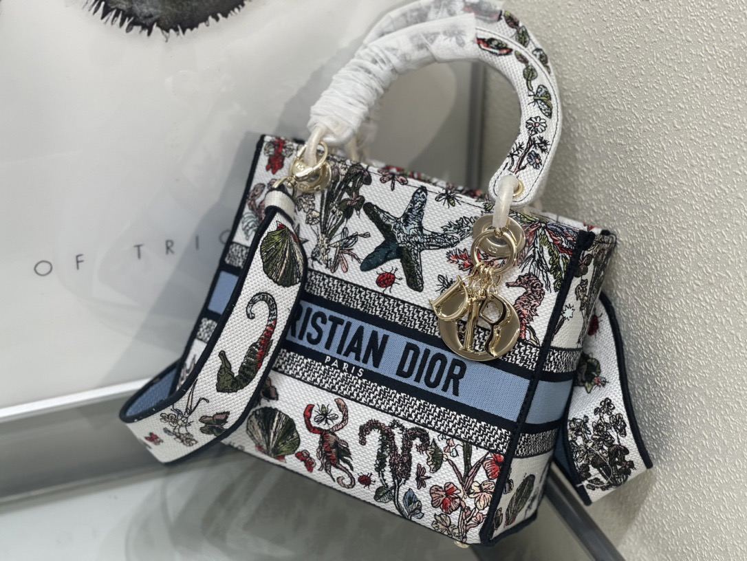 Dior Lady Women Shoulder Bags 24*20*11cm