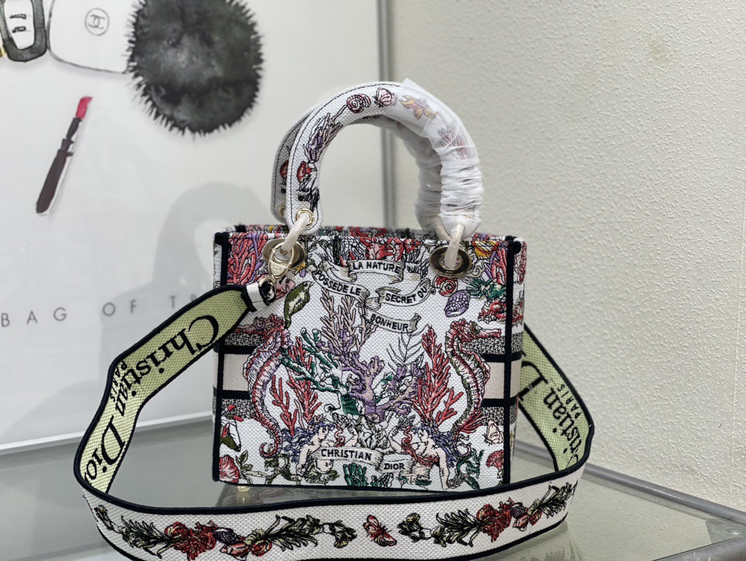 Dior Lady Women Shoulder Bags 24*20*11cm