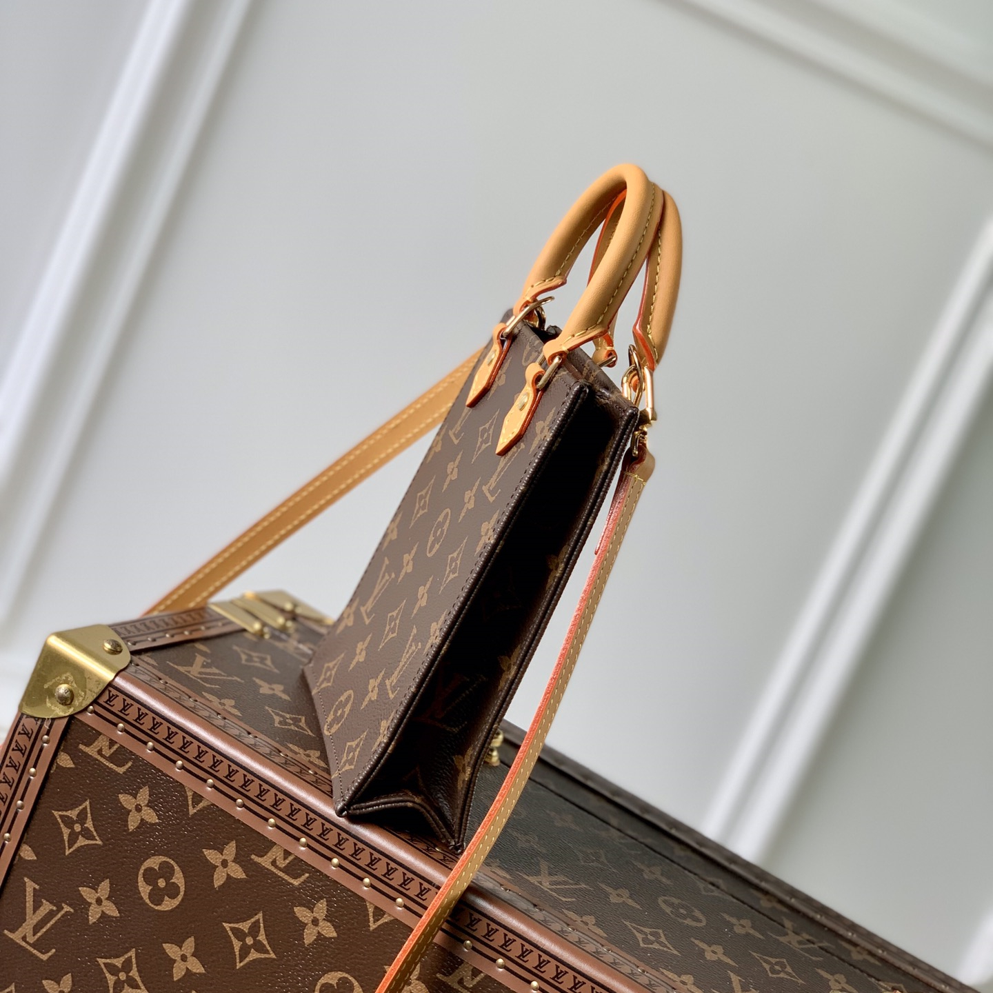 Louis Vuitton M81295 Petit Sac Plat Women Shoulder Bags Size 17*14*5cm