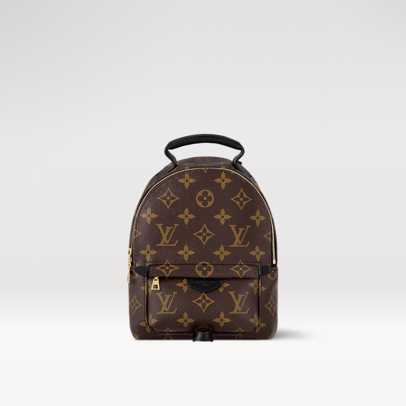 Louis Vuitton Nicolas Ghesquiere Palm Springs Mini Backpack Bags 17*22*10cm