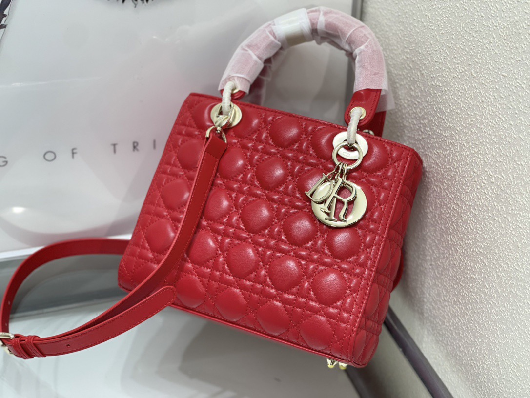 Dior Lady Women Shoulder Bags 24*20*11cm
