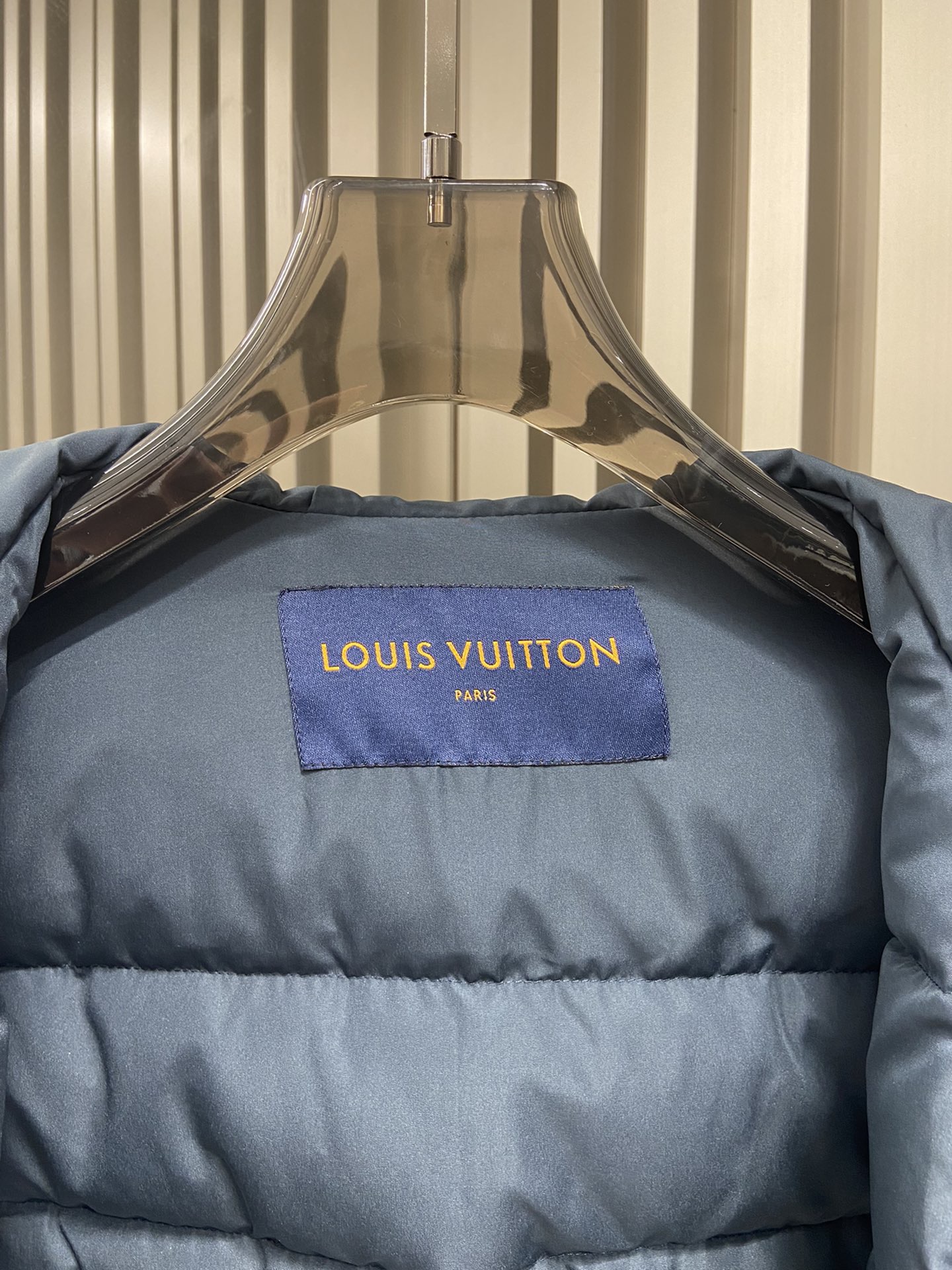 Louis Vuitton Unisex Down Jacket Size S-XL