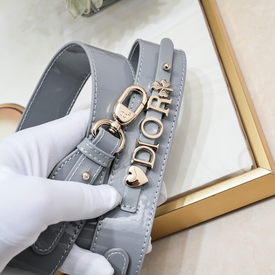 Dior Lady Classic Women Shoulder Bags 20cm