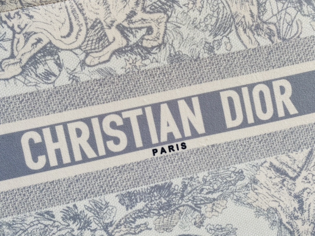 Dior Tote Women Shopping Bags 2-Size