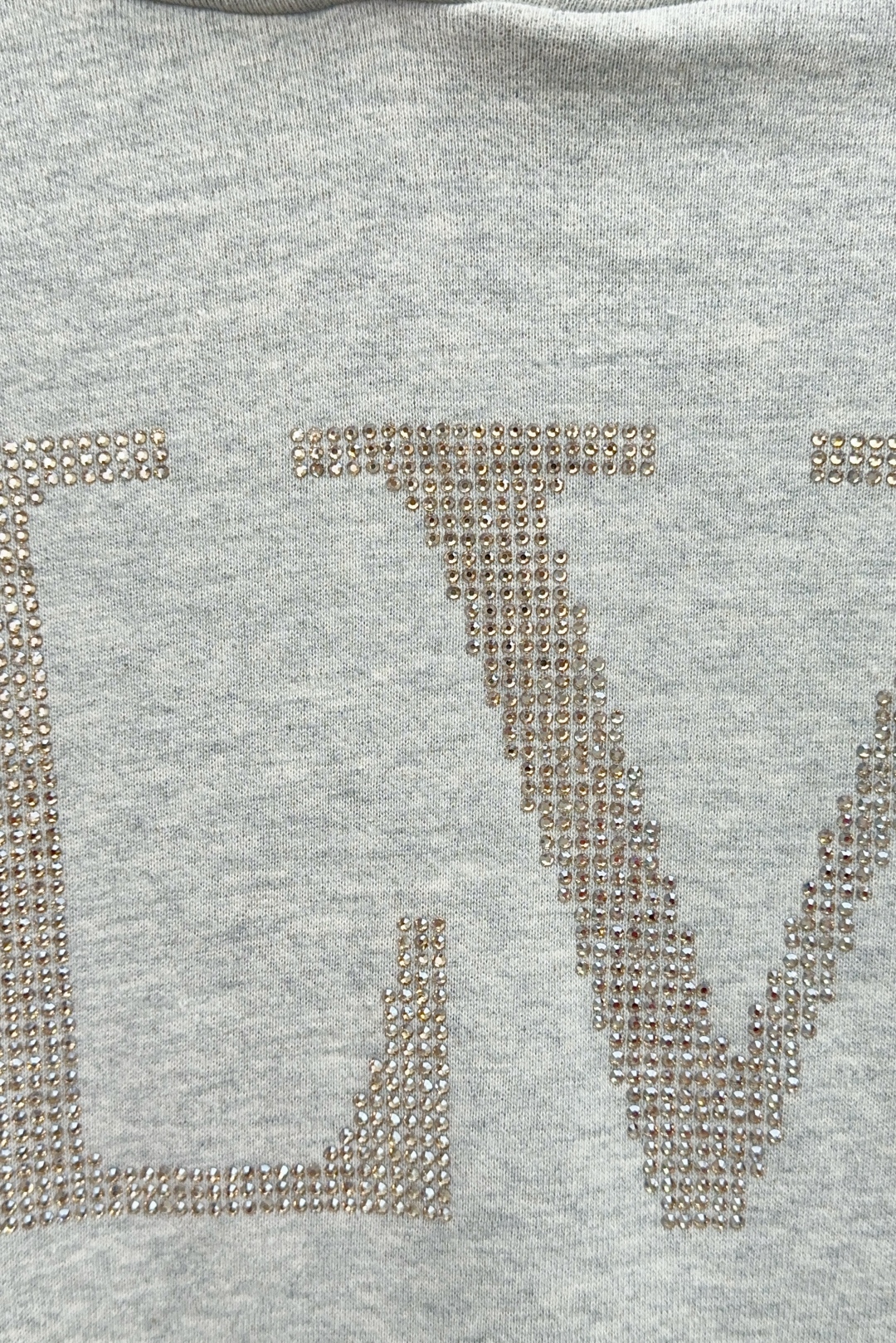 Louis Vuitton 2025SS Unisex Sweatshirt Size S-XL