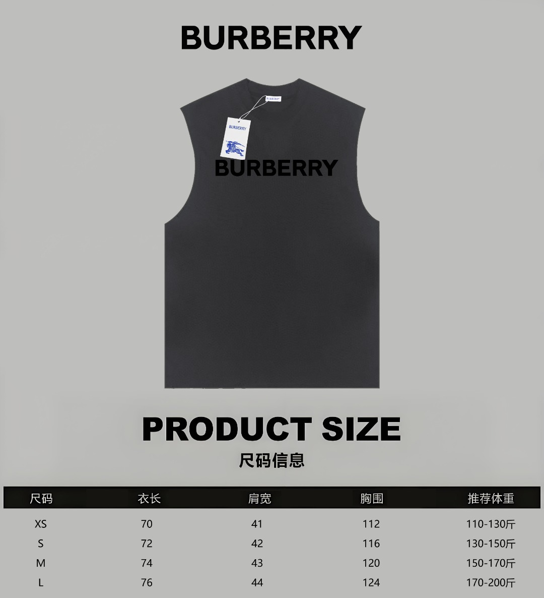 Burberry Cotton T Shirt Size XS-L