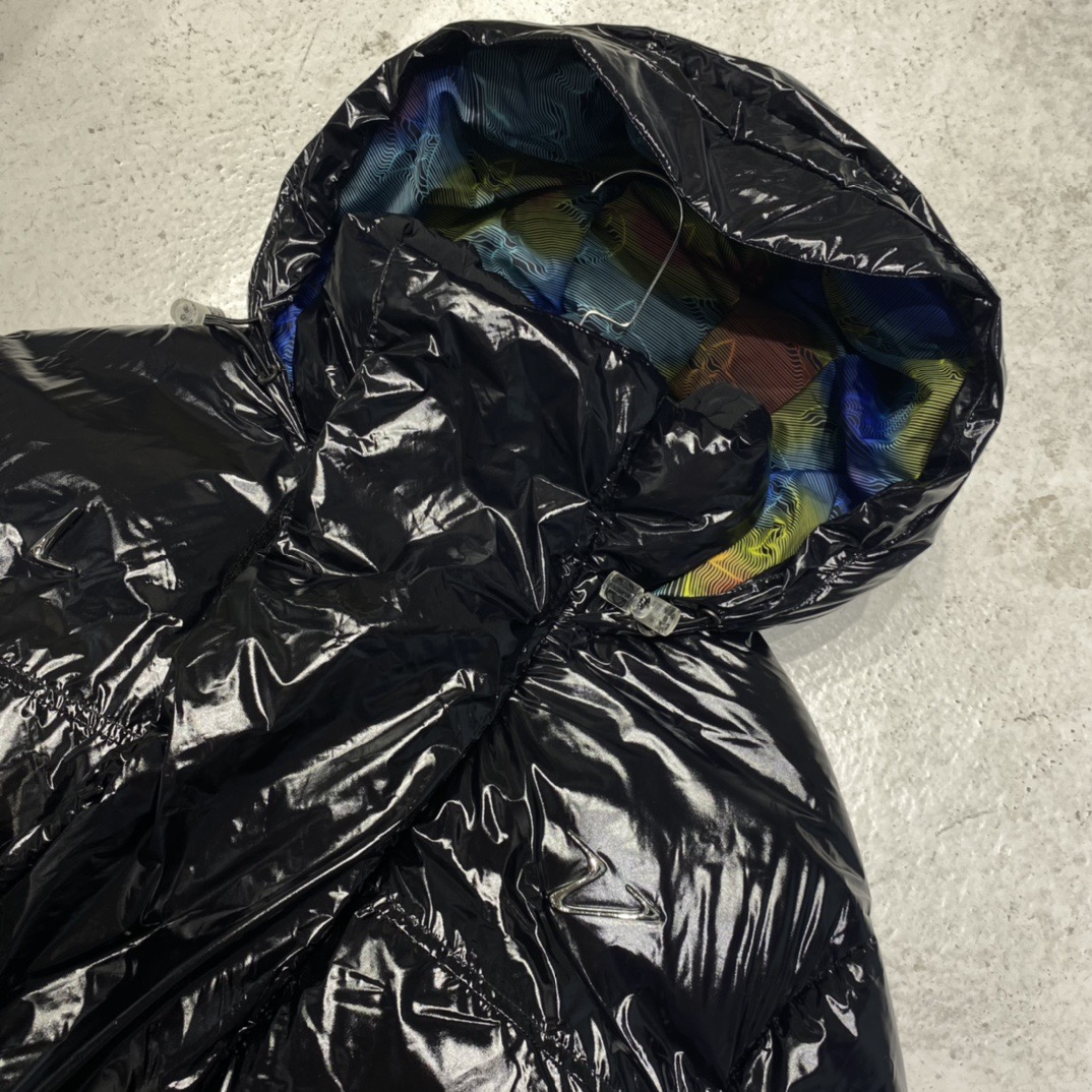 Louis Vuitton Unisex Down Jacket Size S-XL