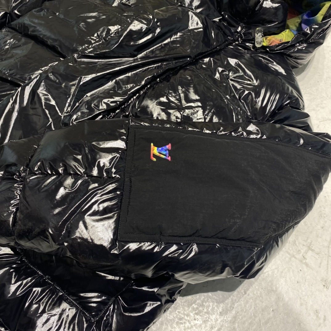 Louis Vuitton Unisex Down Jacket Size S-XL