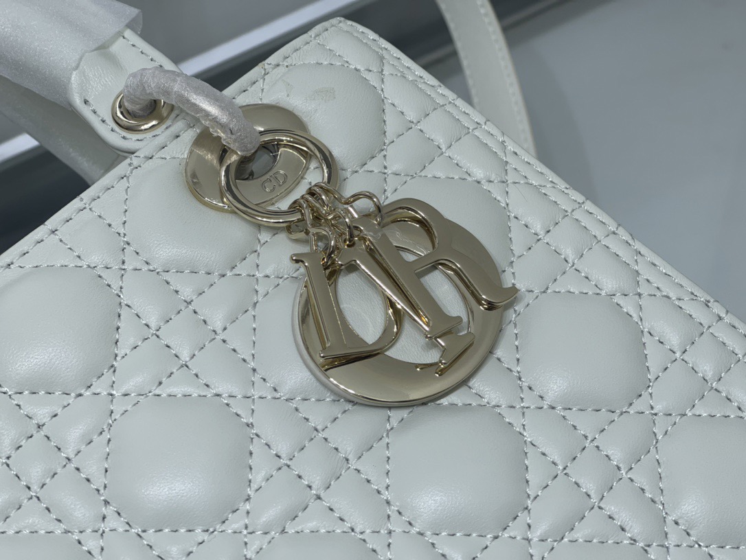 Dior Lady Women Shoulder Bags 24*20*11cm