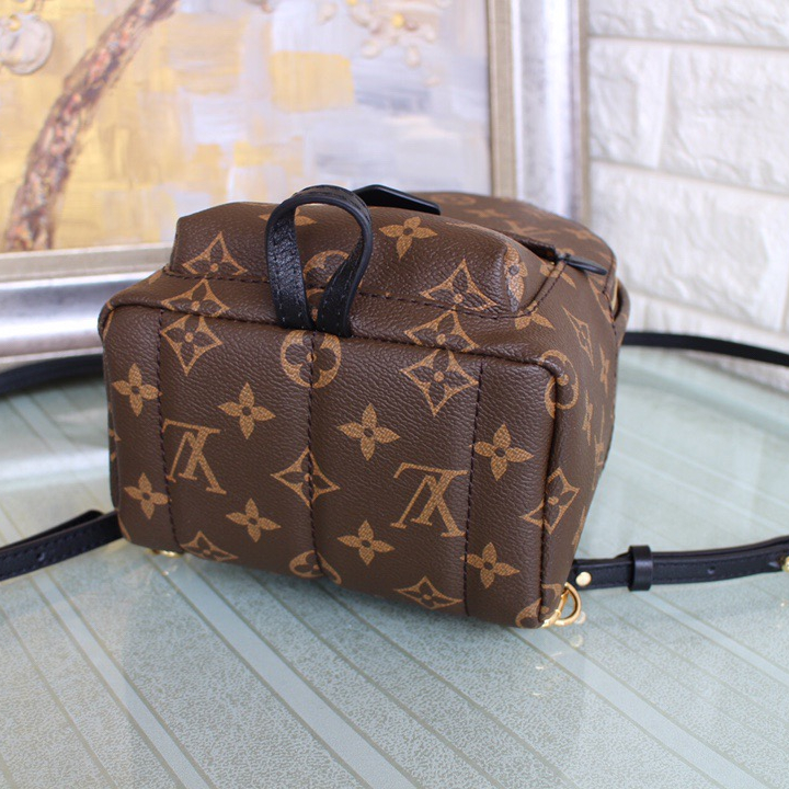 Louis Vuitton M44871 M44873 M44874 Palm Springs Backpack 3 Size