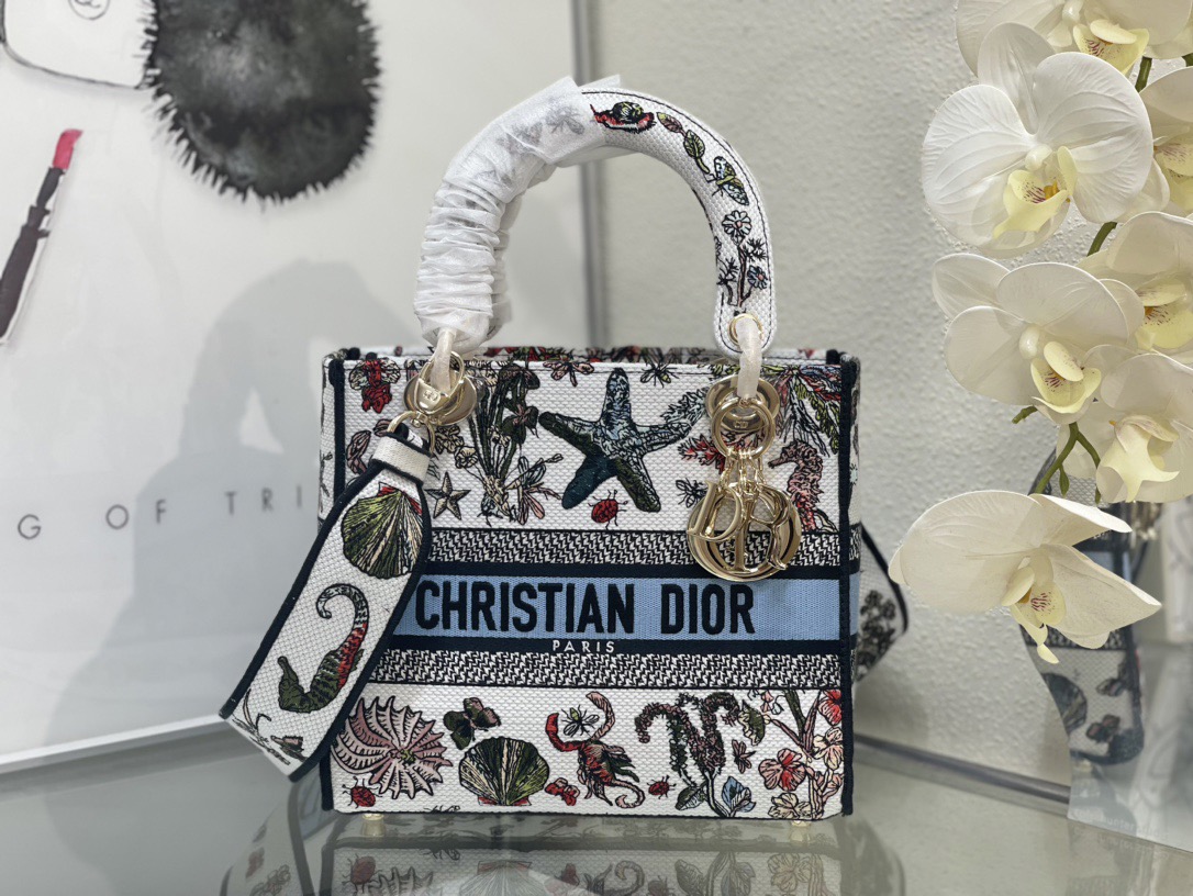 Dior Lady Women Shoulder Bags 24*20*11cm