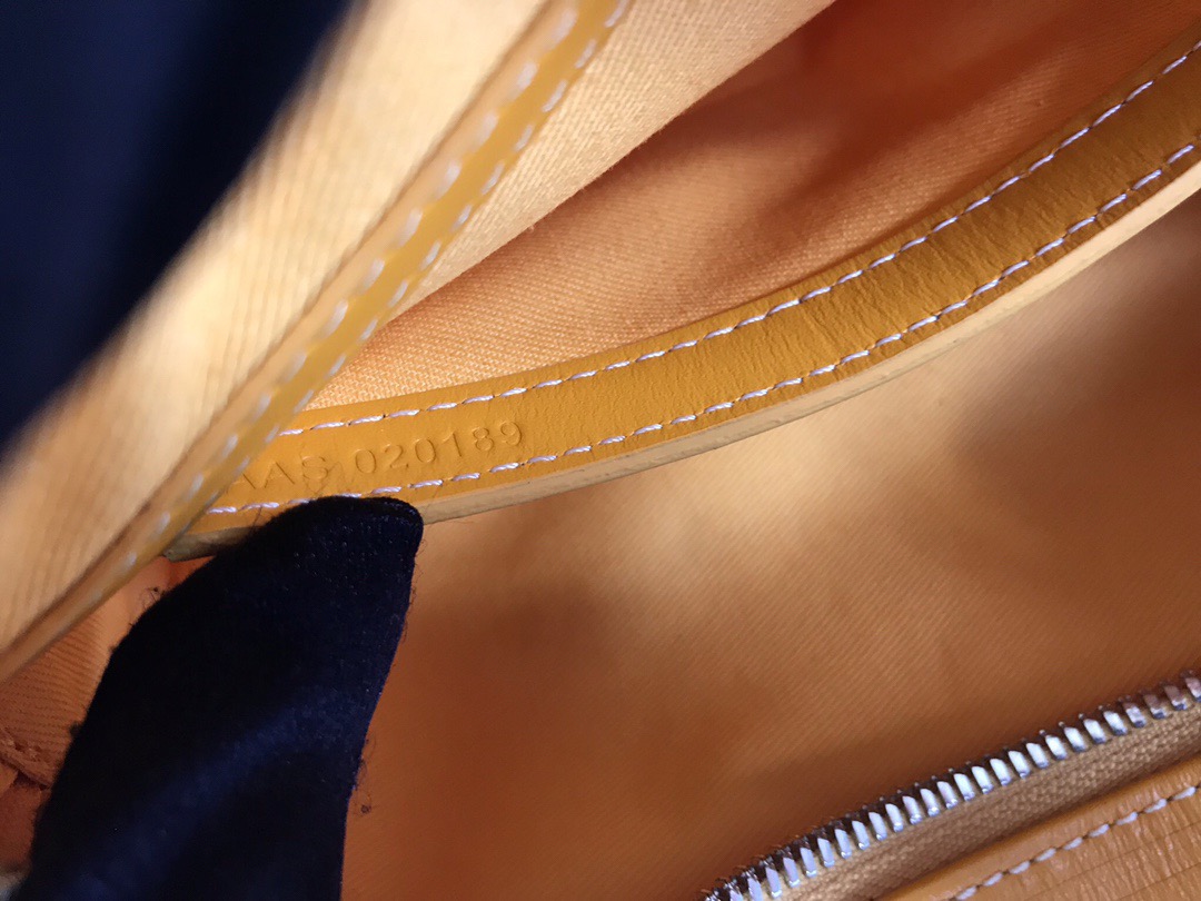 Goyard Cap-Vert Mens Shoulder Bags Size 22.5*13*7cm