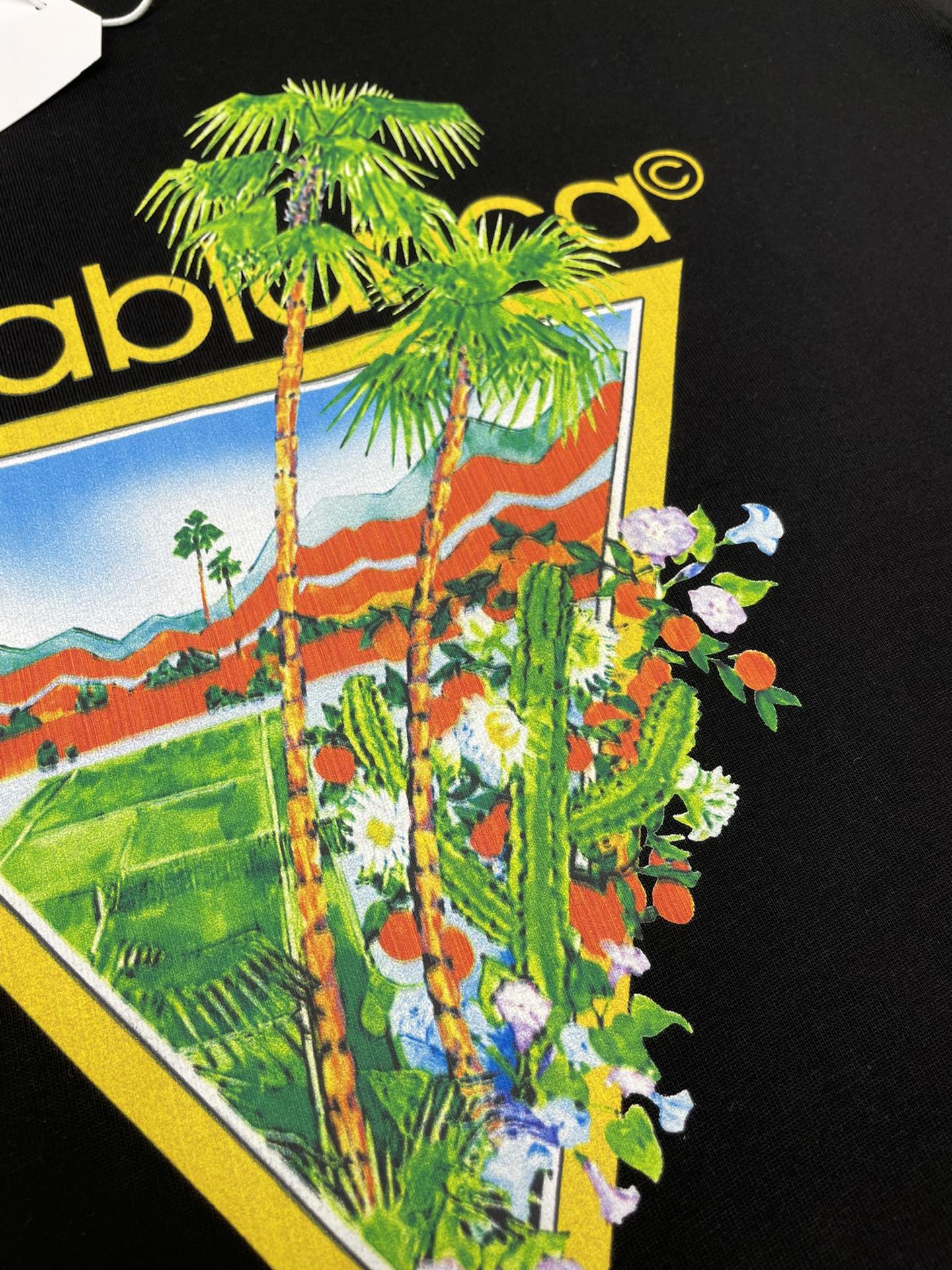 Casablanca T Shirt Size S-XL