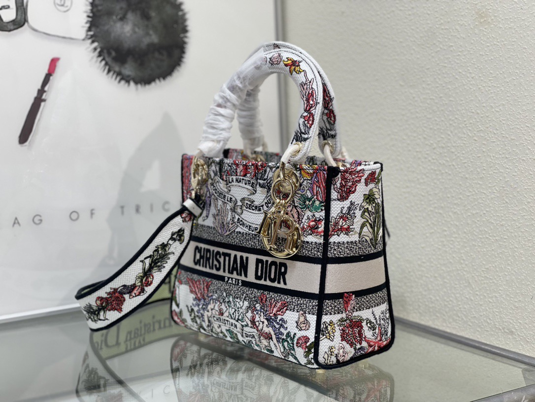Dior Lady Women Shoulder Bags 24*20*11cm