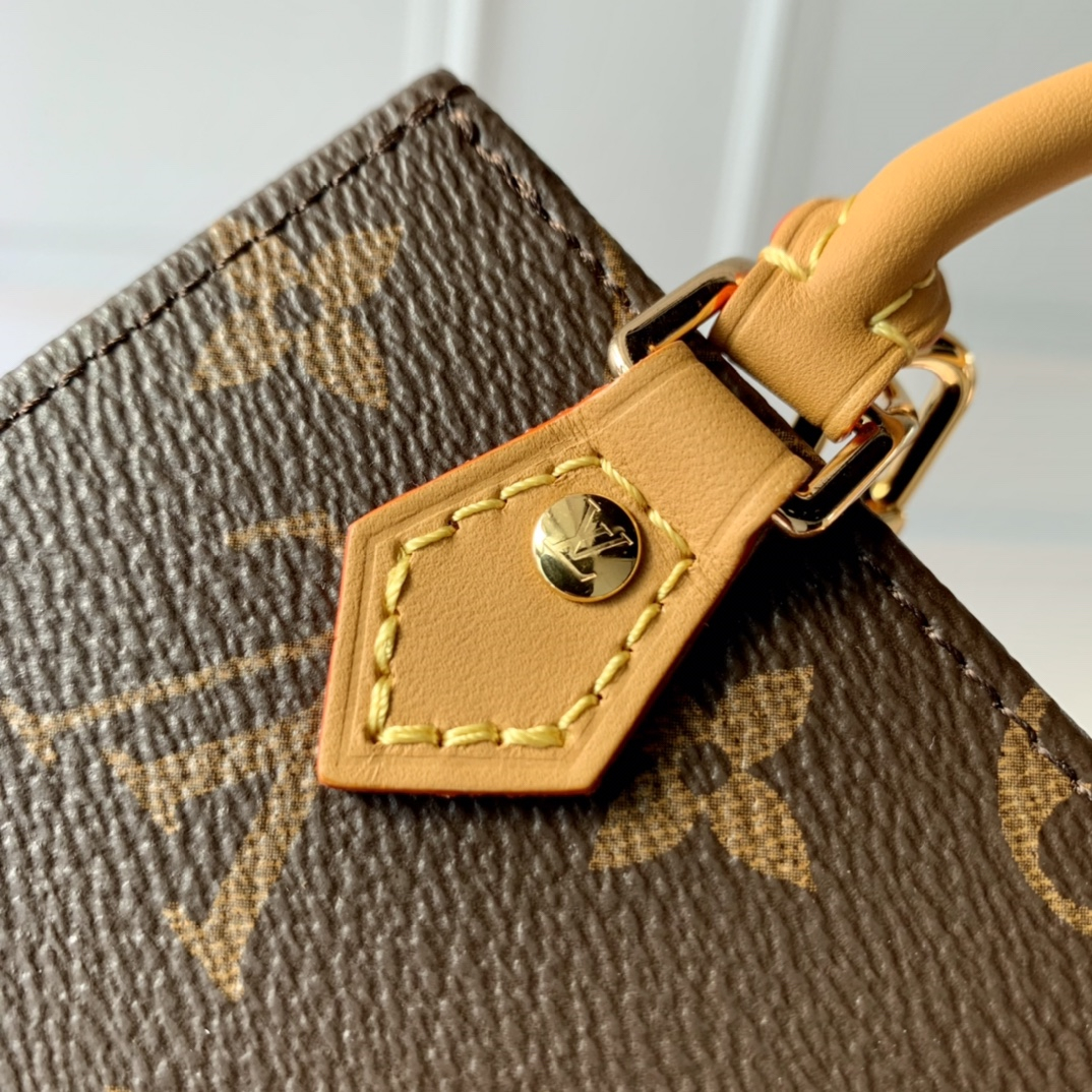 Louis Vuitton M81295 Petit Sac Plat Women Shoulder Bags Size 17*14*5cm