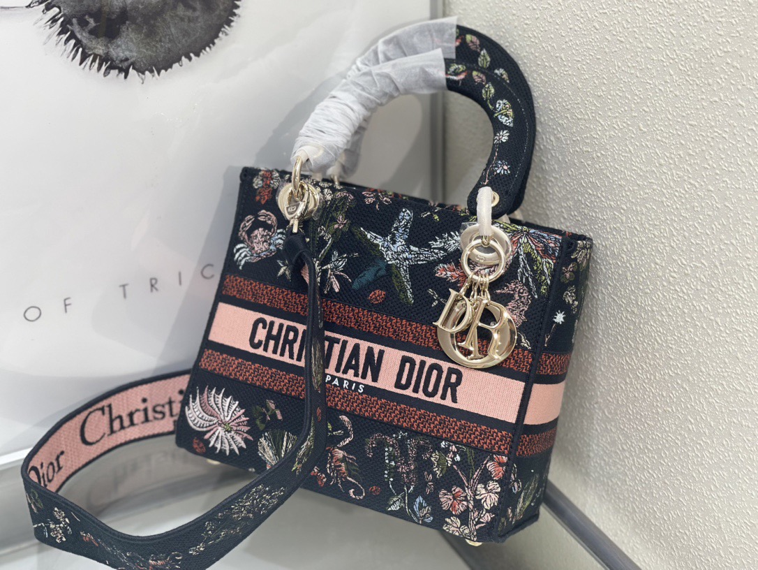 Dior Lady Women Shoulder Bags 24*20*11cm