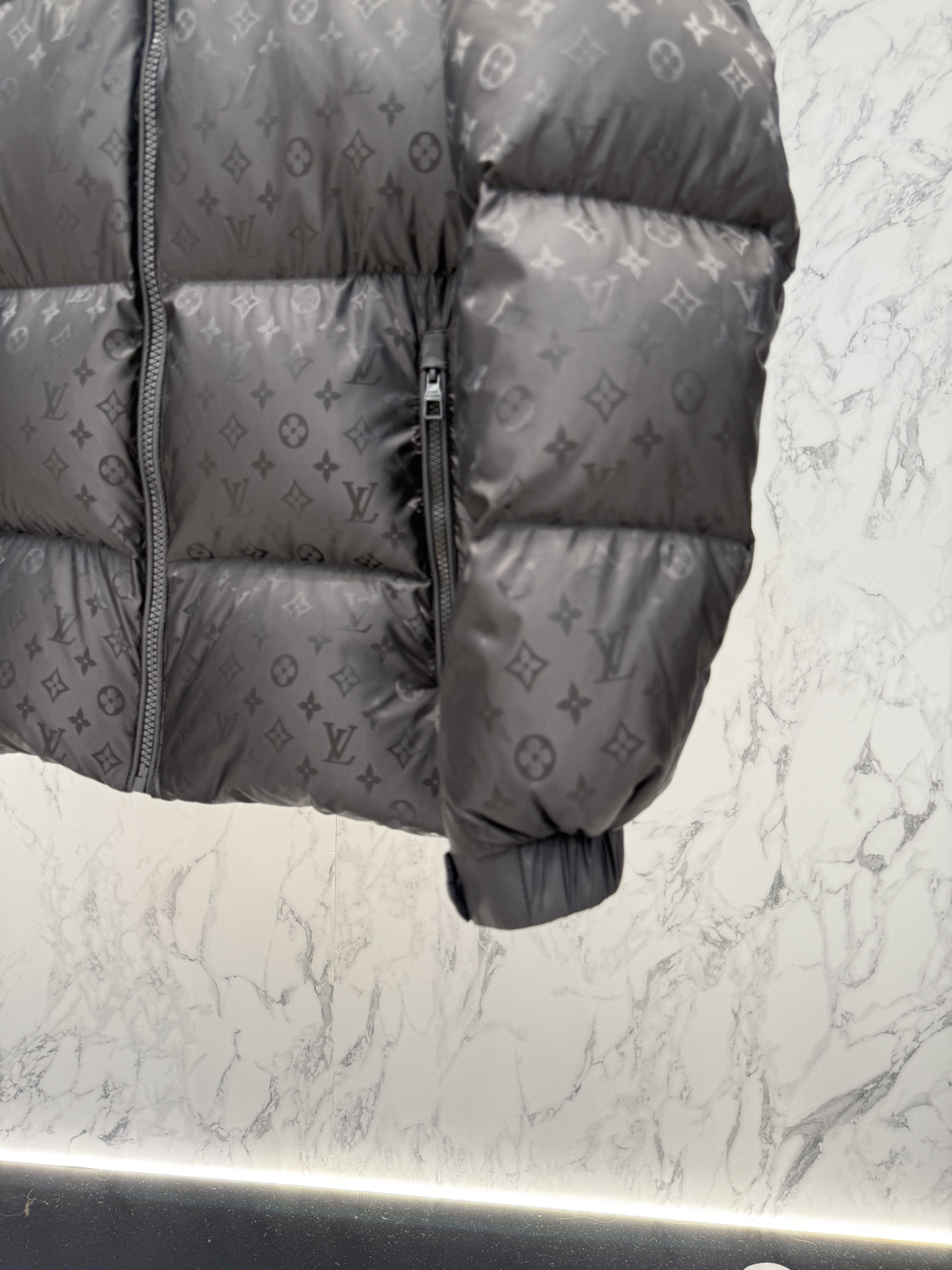 Louis Vuitton 25ss Unisex Winter Jacket Size 48-56