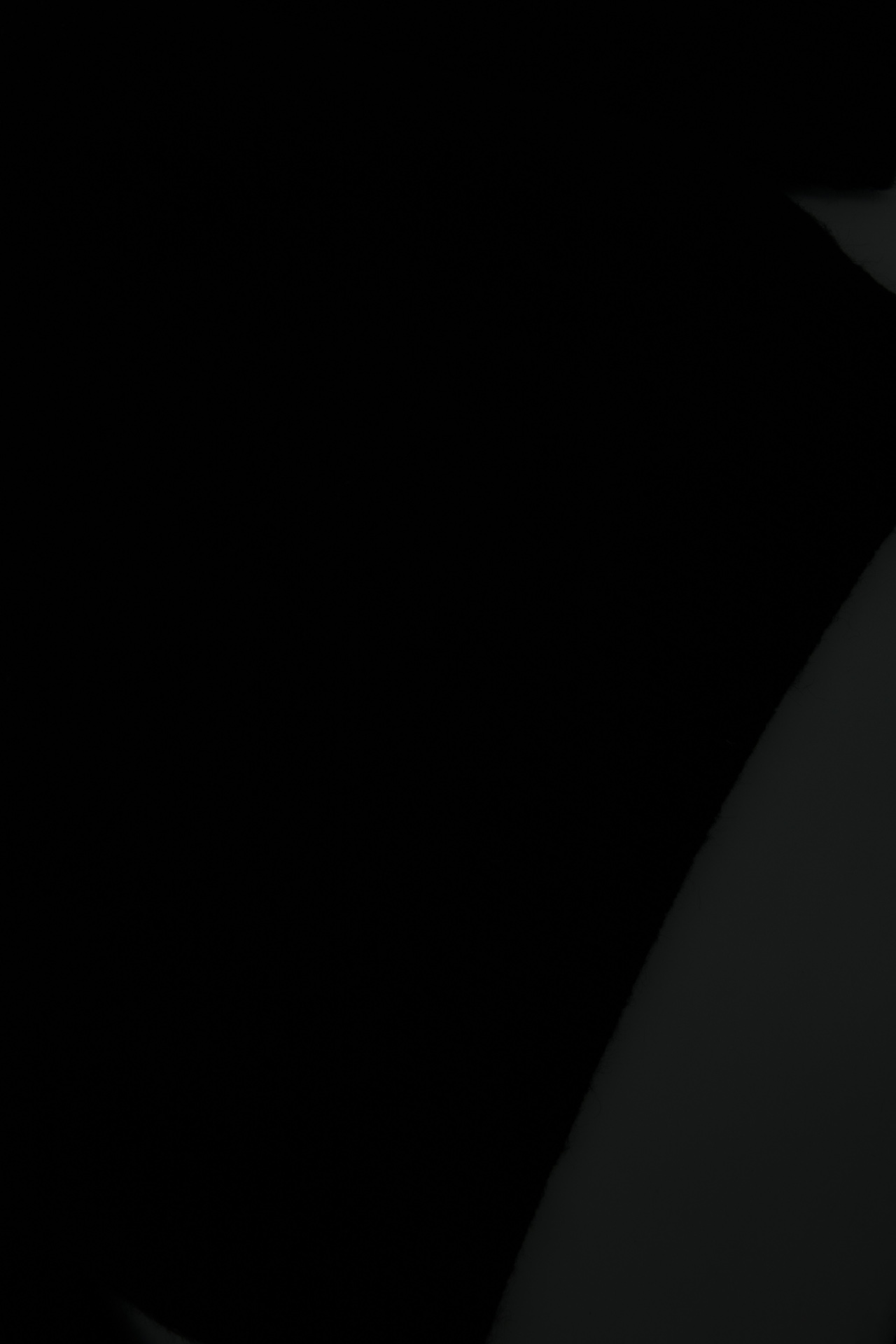 YSL 2025 New Unisex Sweatshirt Size S-XL