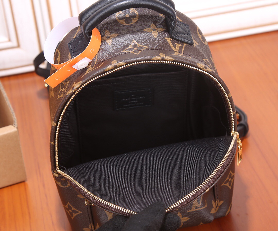 Louis Vuitton Nicolas Ghesquiere Palm Springs Mini Backpack Bags 17*22*10cm