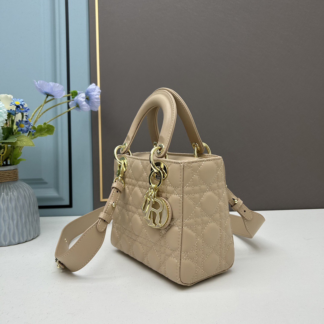 Dior Mini Lady Women Shoulder Bags 20*17*9cm