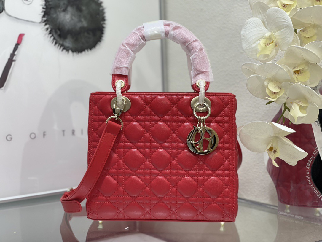Dior Lady Women Shoulder Bags 24*20*11cm