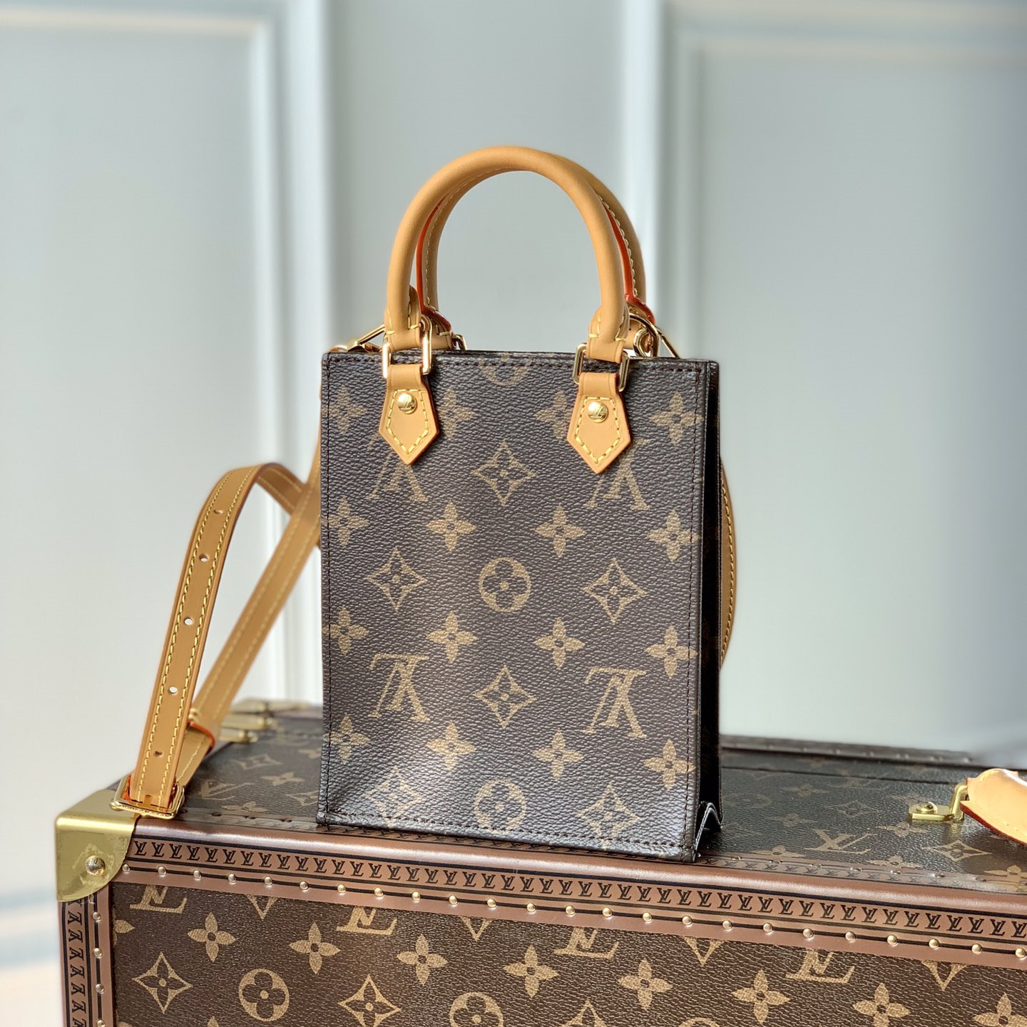 Louis Vuitton M81295 Petit Sac Plat Women Shoulder Bags Size 17*14*5cm