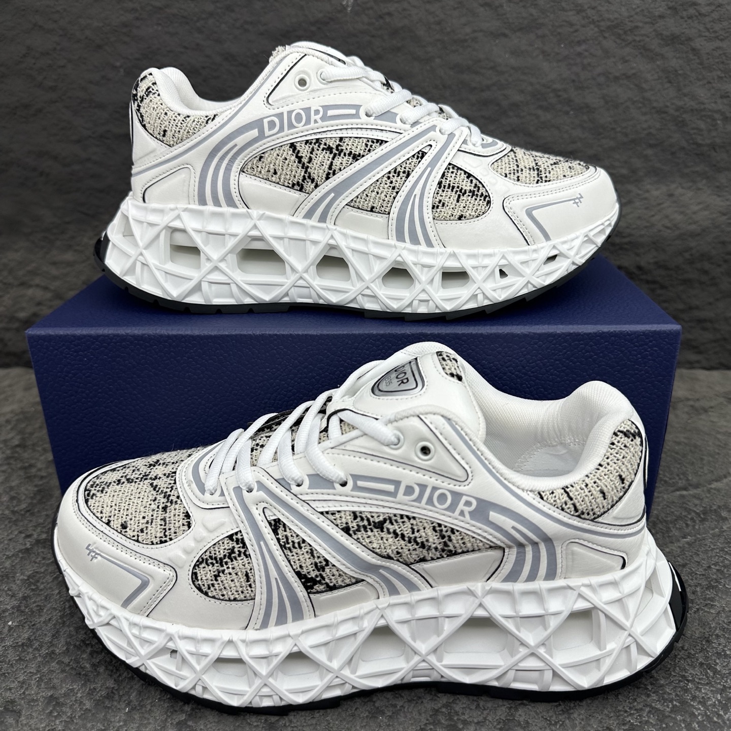 Dior B35 Men Sneaker Size 40-46