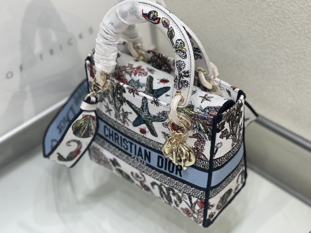 Dior Lady Women Shoulder Bags 24*20*11cm