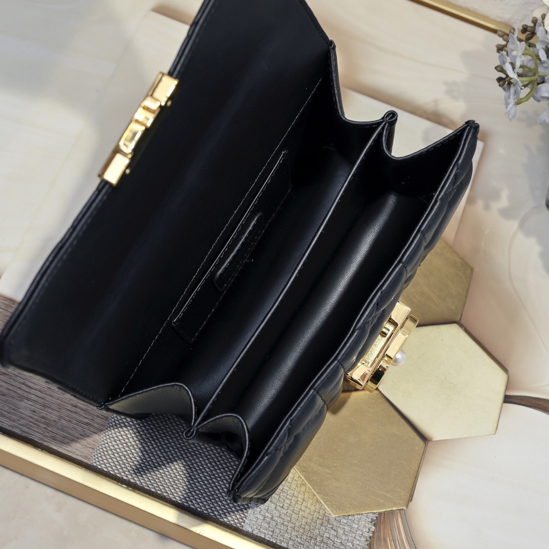 Dior Mini Dior Ange Women Shoulder Bags 20*12*5cm