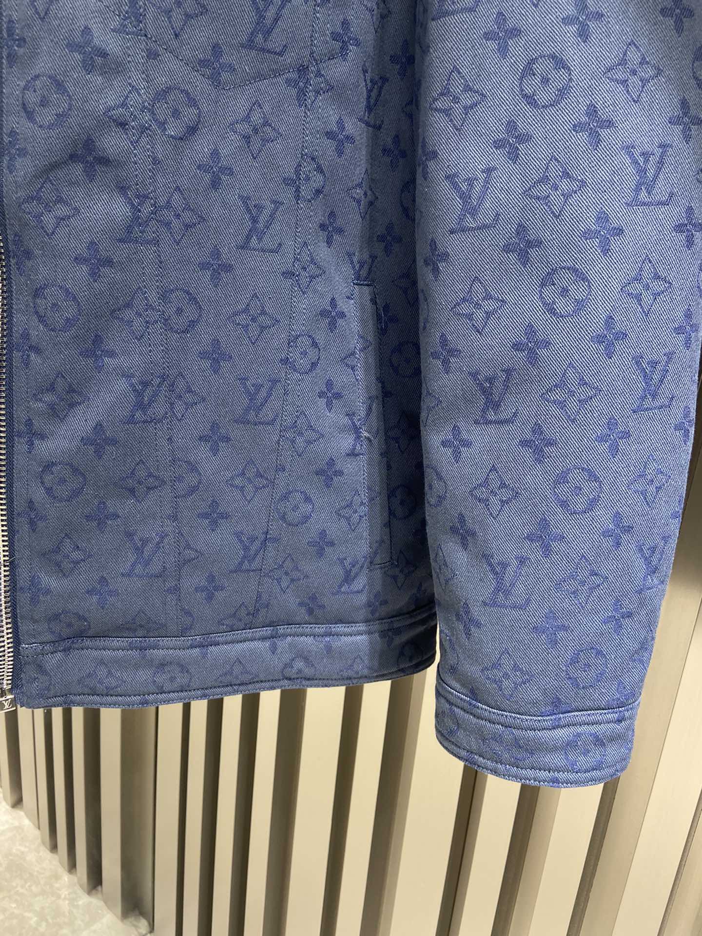 Louis Vuitton Unisex Down Jacket Size S-XL