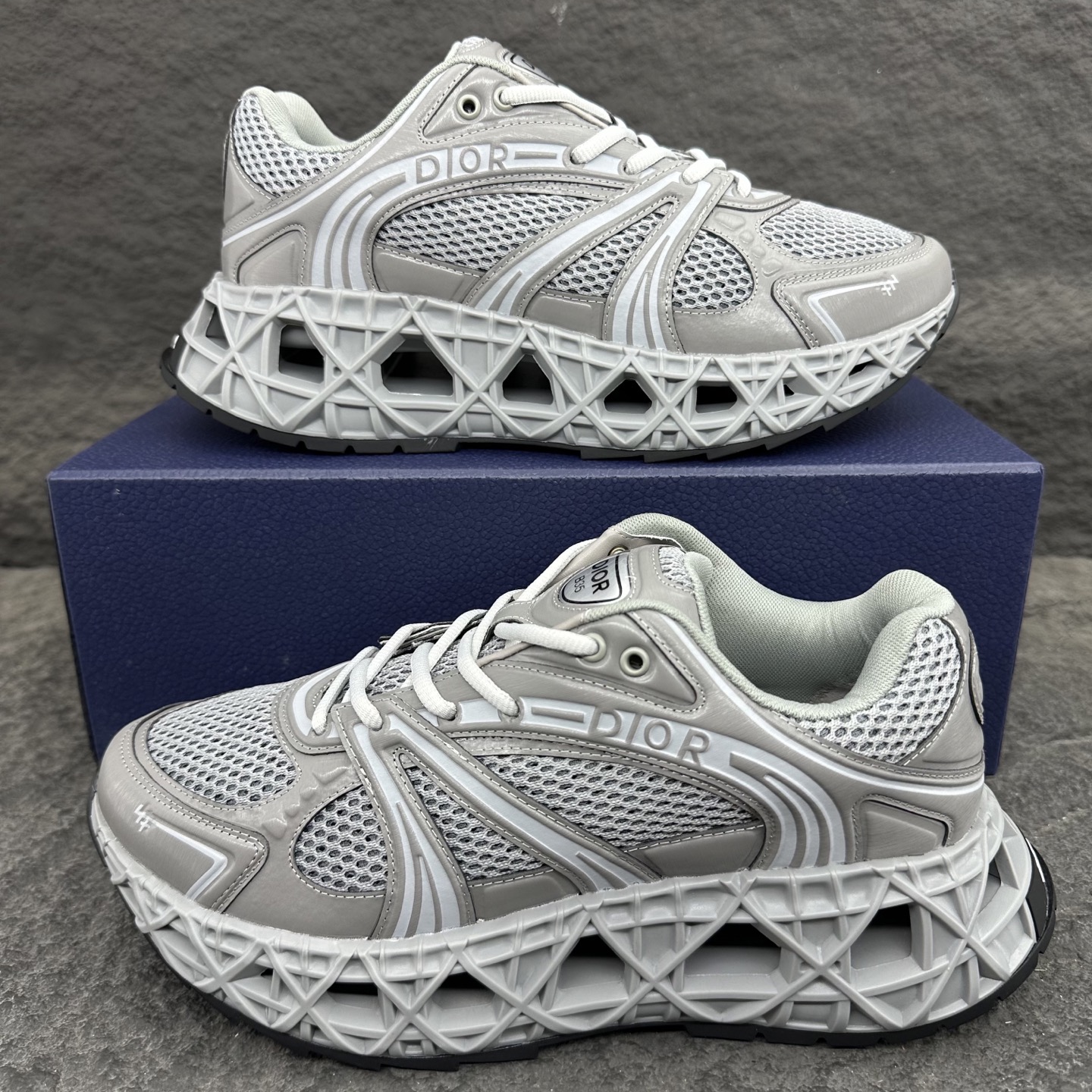 Dior B35 Men Sneaker Size 40-46