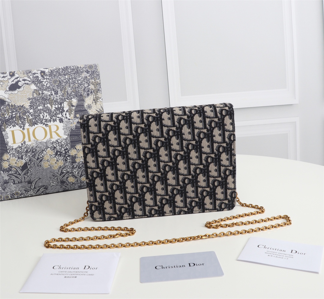 Dior Women Shoulder Bags 22*14.5*4.5cm