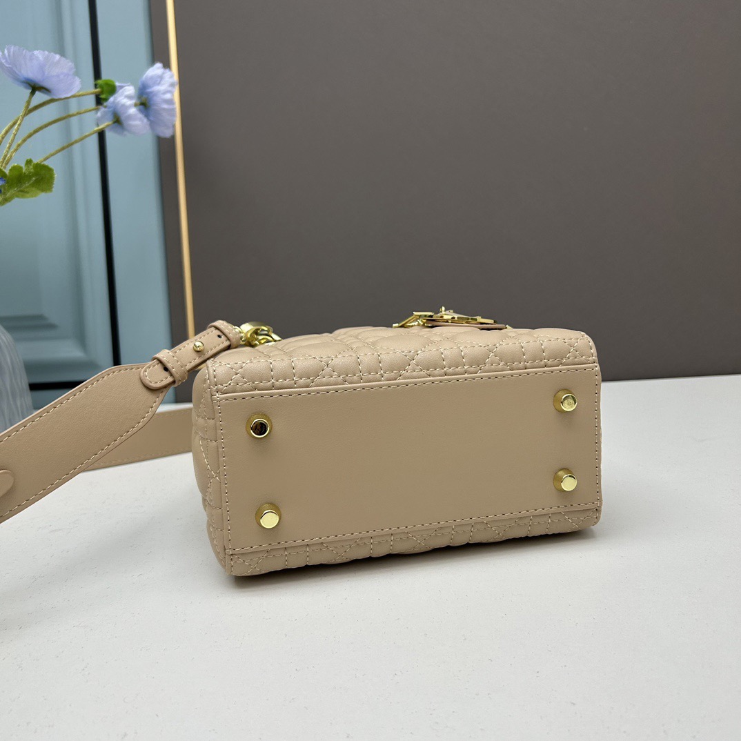 Dior Mini Lady Women Shoulder Bags 20*17*9cm