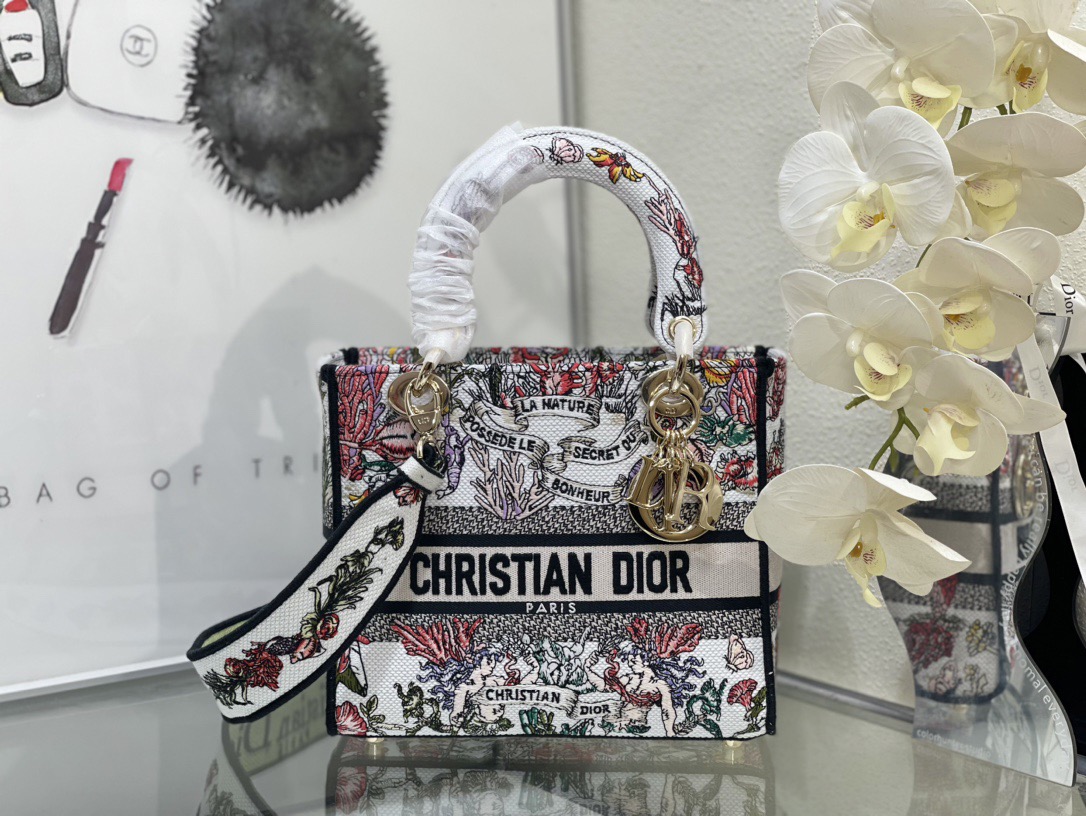 Dior Lady Women Shoulder Bags 24*20*11cm