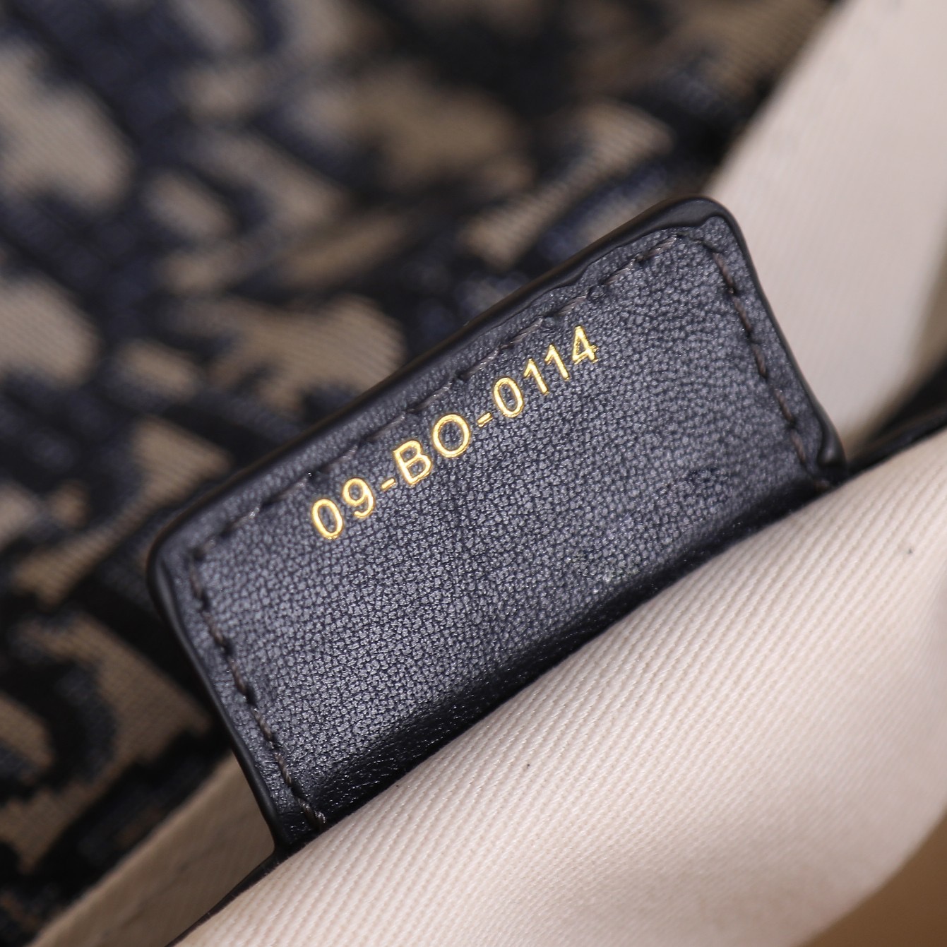 Dior Kleine CD Besace Women Shoulder Bags 24*15*6cm