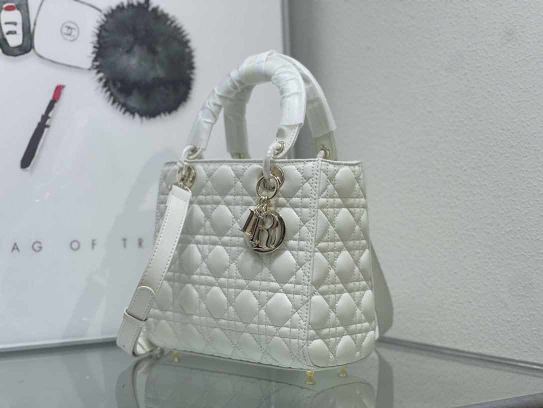 Dior Lady Women Shoulder Bags 24*20*11cm