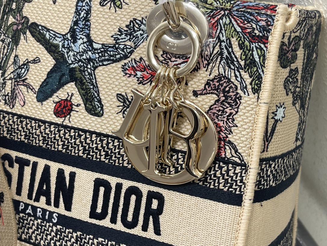 Dior Lady Women Shoulder Bags 24*20*11cm