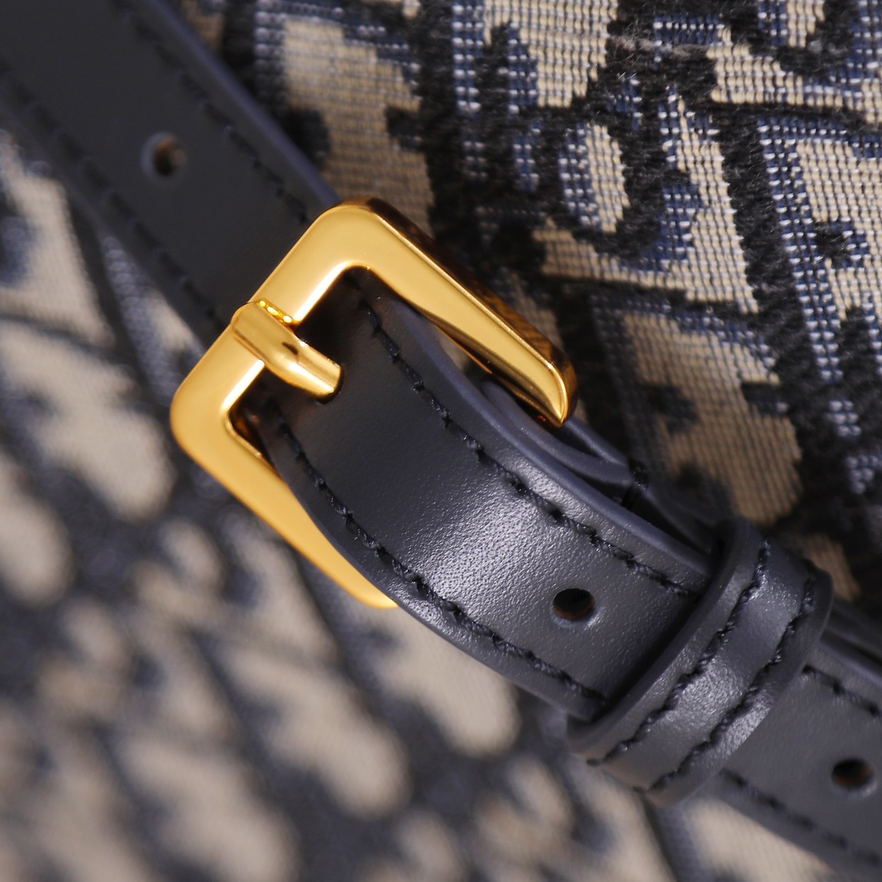 Dior Kleine CD Besace Women Shoulder Bags 24*15*6cm