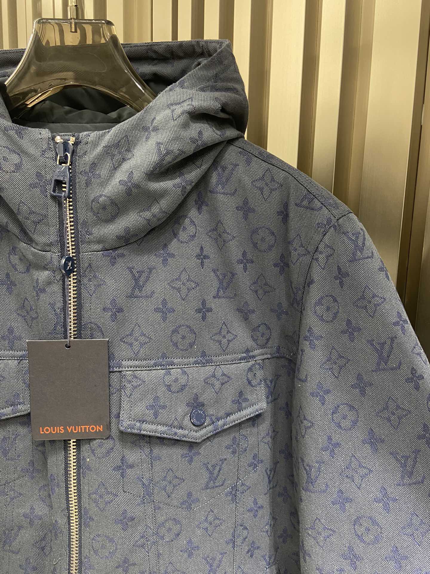 Louis Vuitton Unisex Down Jacket Size S-XL