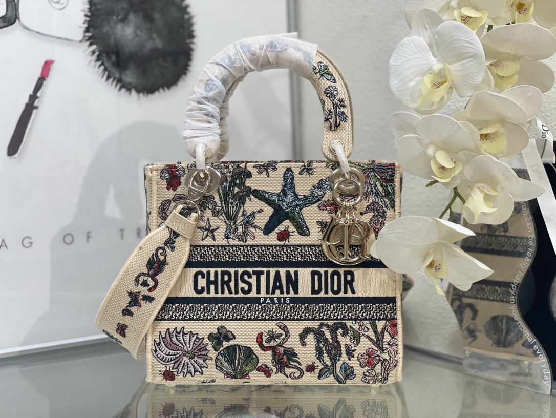 Dior Lady Women Shoulder Bags 24*20*11cm