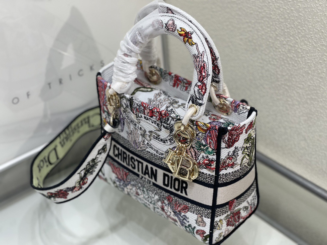 Dior Lady Women Shoulder Bags 24*20*11cm