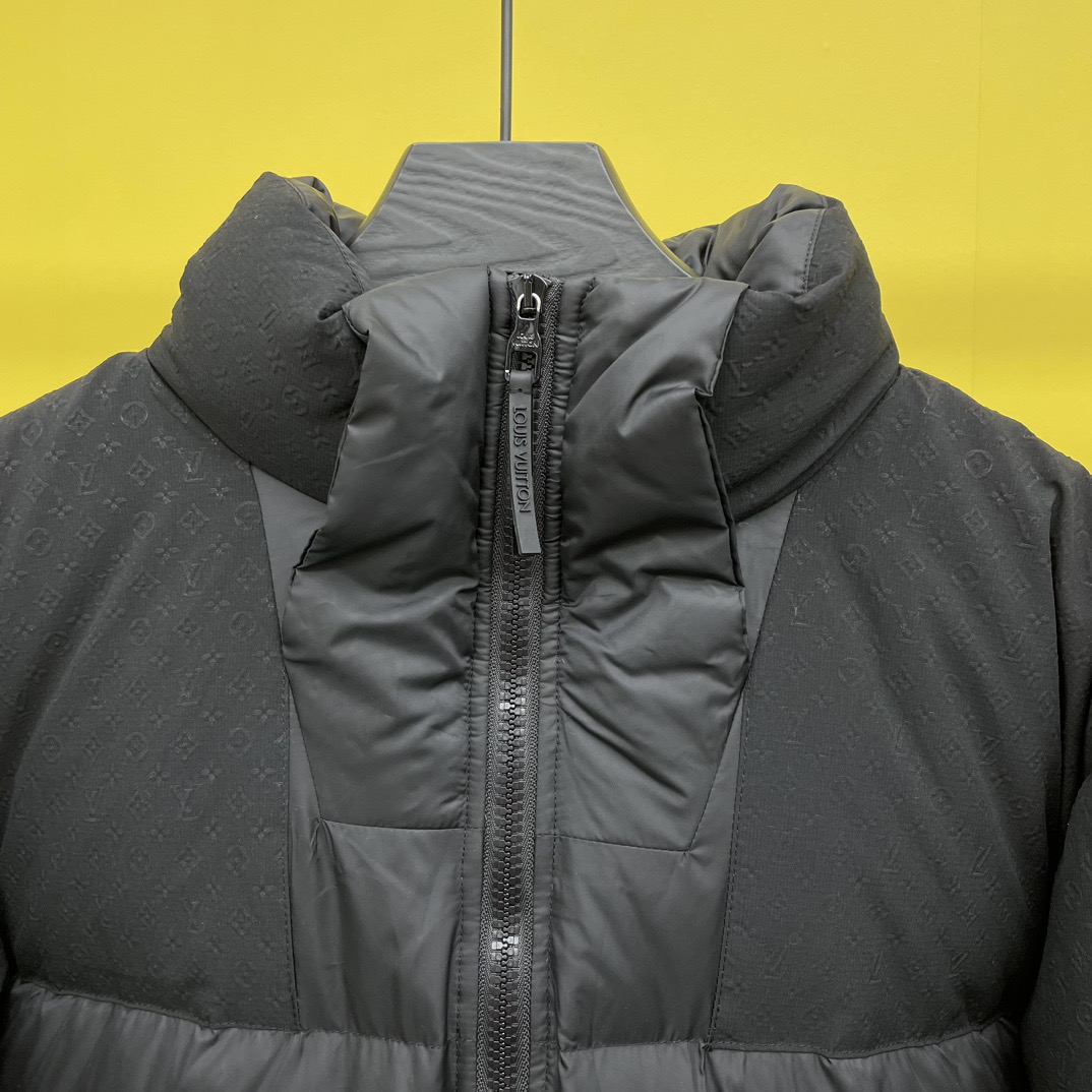 Louis Vuitton Unisex Down Jacket Size S-XL