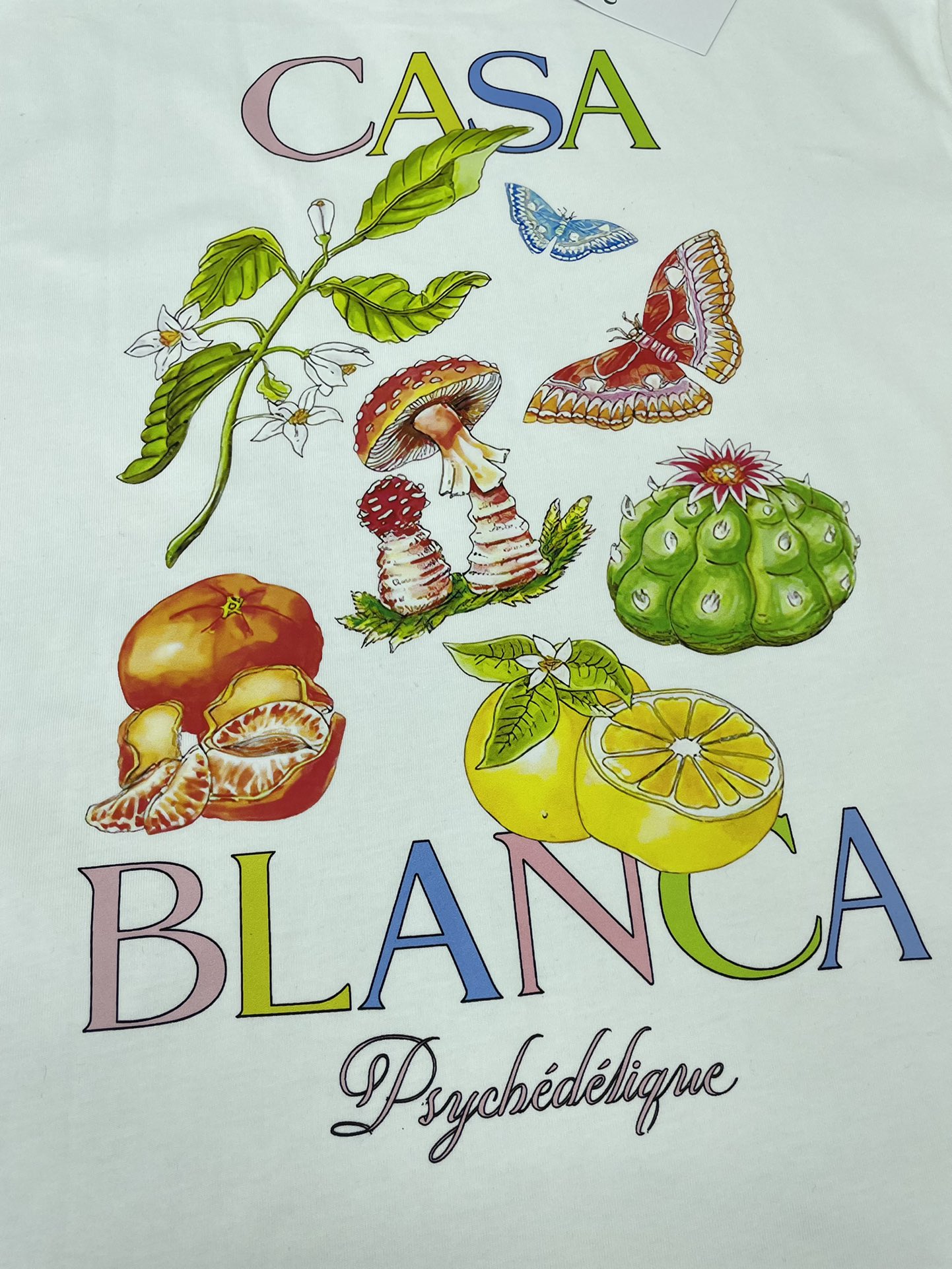 Casablanca T Shirt Size S-XL