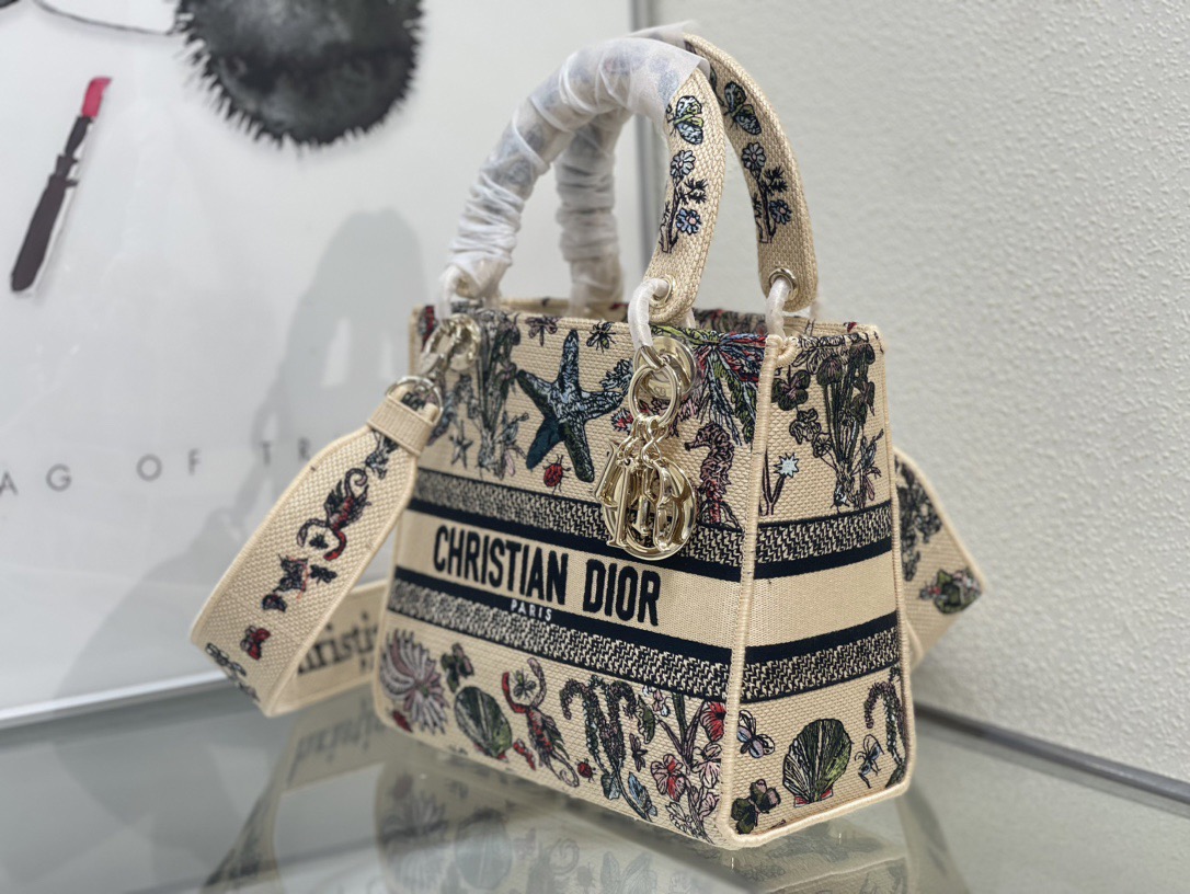 Dior Lady Women Shoulder Bags 24*20*11cm
