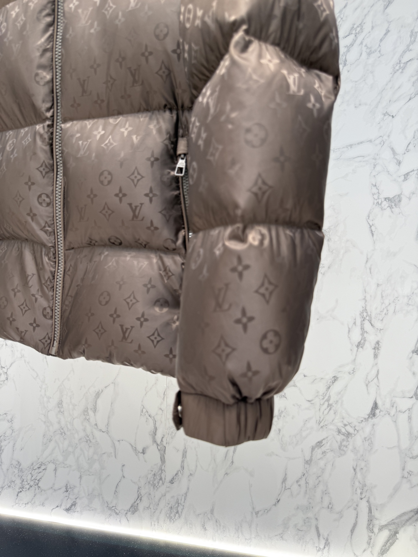 Louis Vuitton 25ss Unisex Winter Jacket Size 48-56