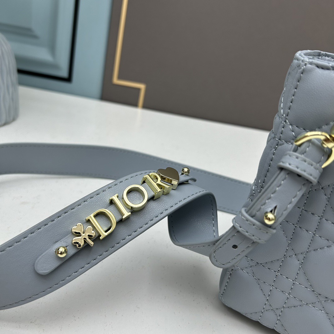 Dior Mini Lady Women Shoulder Bags 20*17*9cm