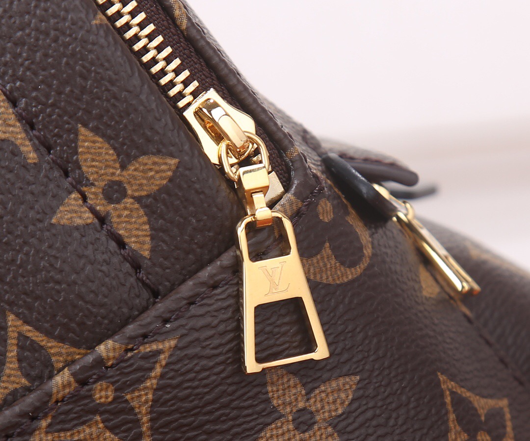 Louis Vuitton Nicolas Ghesquiere Palm Springs Mini Backpack Bags 17*22*10cm