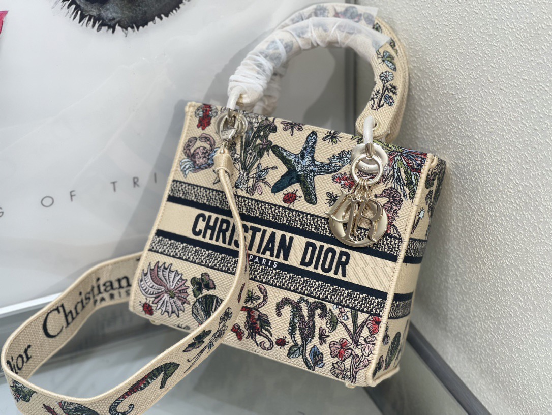 Dior Lady Women Shoulder Bags 24*20*11cm